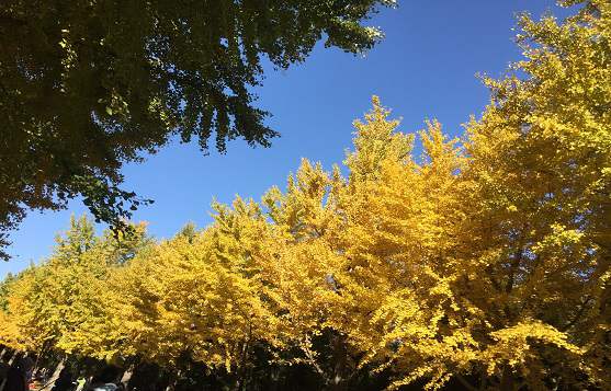 北京密云公司注冊的流程及費用是什么？