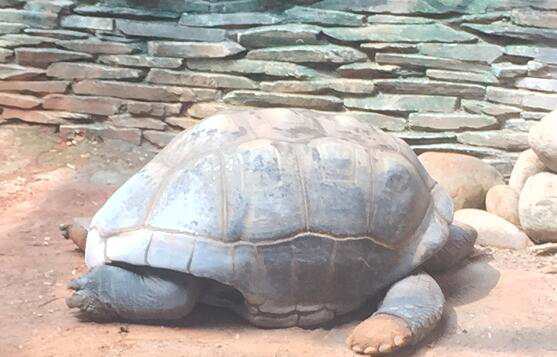 北京豐臺(tái)區(qū)記賬公司注冊(cè)的所需材料是什么？