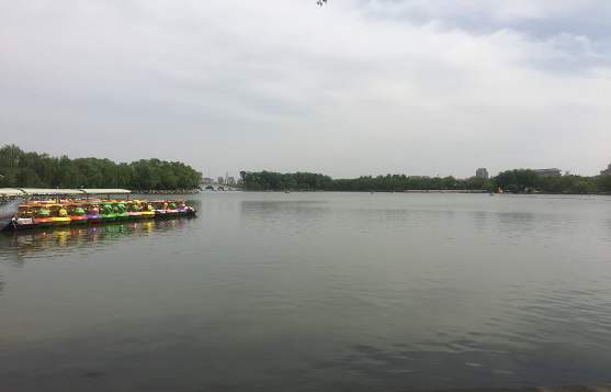 公司注冊簡單嘛（詳解公司注冊的流程和注意事項）