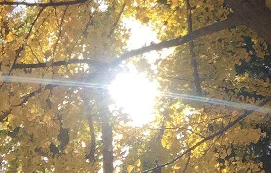 北京市公司注冊(cè)的流程中需要辦理哪些證件？