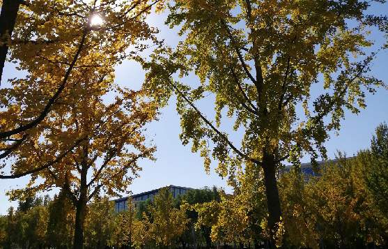 北京廣告公司如何注冊商標(biāo)，哪家靠譜？