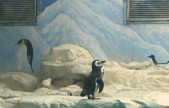 企業(yè)注冊公司服務價格（了解企業(yè)注冊所需費用）